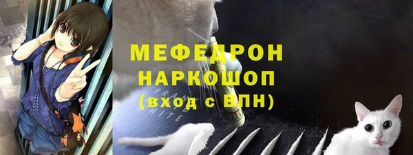 прущие грибы Гусиноозёрск