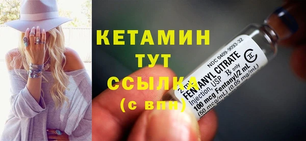прущие грибы Гусь-Хрустальный