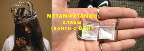 прущие грибы Гусиноозёрск