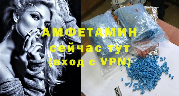 прущие грибы Гусиноозёрск