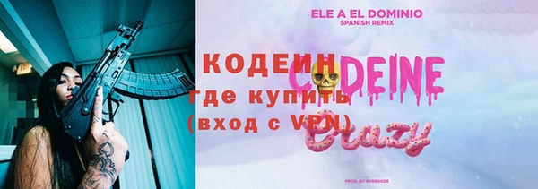 соль ск Гусев