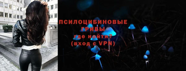 прущие грибы Гусь-Хрустальный