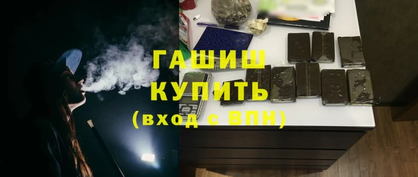 прущие грибы Гусиноозёрск
