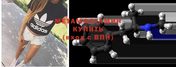 прущие грибы Гусь-Хрустальный