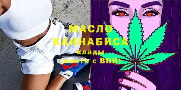 прущие грибы Гусиноозёрск