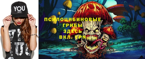 соль ск Гусев