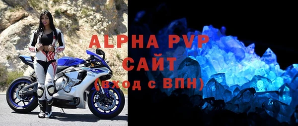 прущие грибы Гусиноозёрск