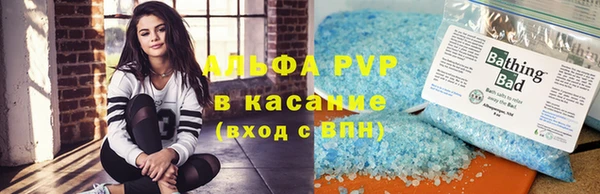 прущие грибы Гусиноозёрск