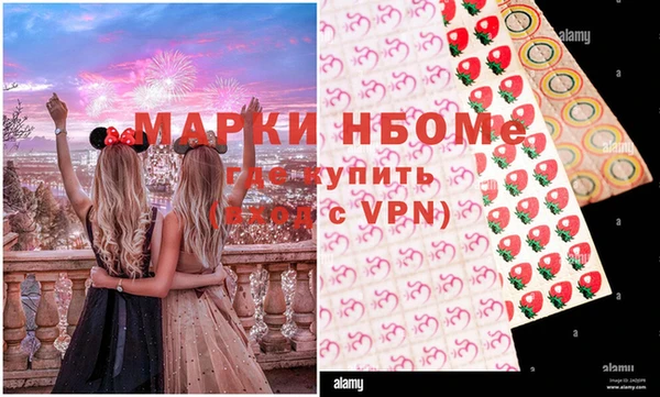прущие грибы Гусь-Хрустальный