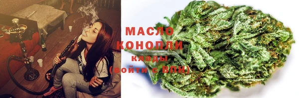 прущие грибы Гусиноозёрск