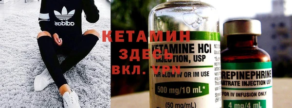 прущие грибы Гусиноозёрск