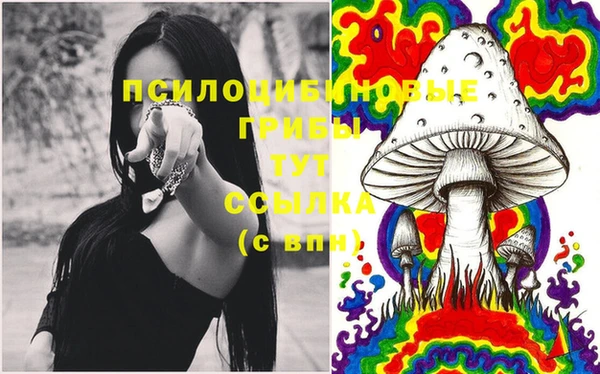 соль ск Гусев
