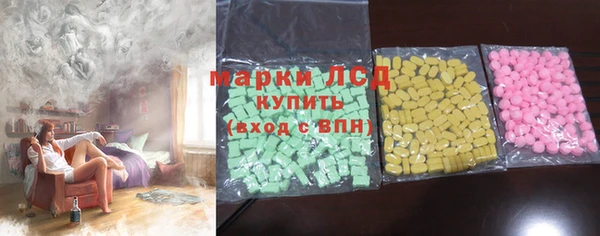 прущие грибы Гусь-Хрустальный