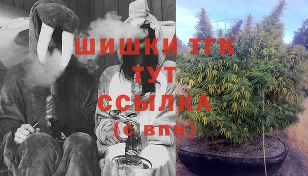 прущие грибы Гусь-Хрустальный