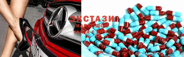 прущие грибы Гусиноозёрск