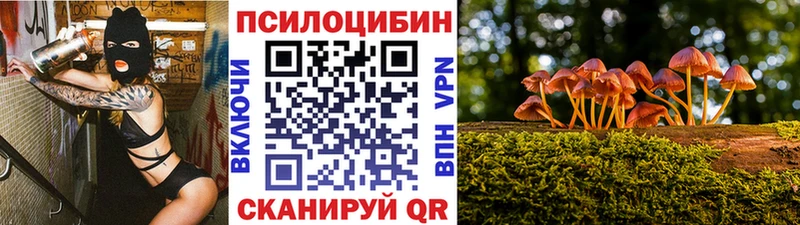 закладки  Ковров  KRAKEN маркетплейс  Галлюциногенные грибы мицелий 